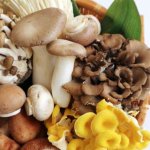 ワインと秋の食材の美味しい組み合わせをご提案！【マリアージュ】