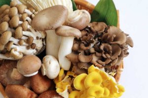 ワインと秋の食材の美味しい組み合わせをご提案！【マリアージュ】