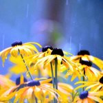 ジメジメの梅雨の時期そこ自宅でおひとり様ワインがおすすめ彡