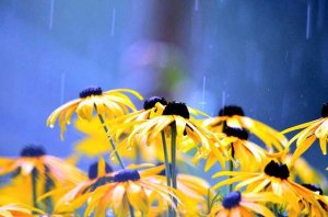 ジメジメの梅雨の時期そこ自宅でおひとり様ワインがおすすめ彡